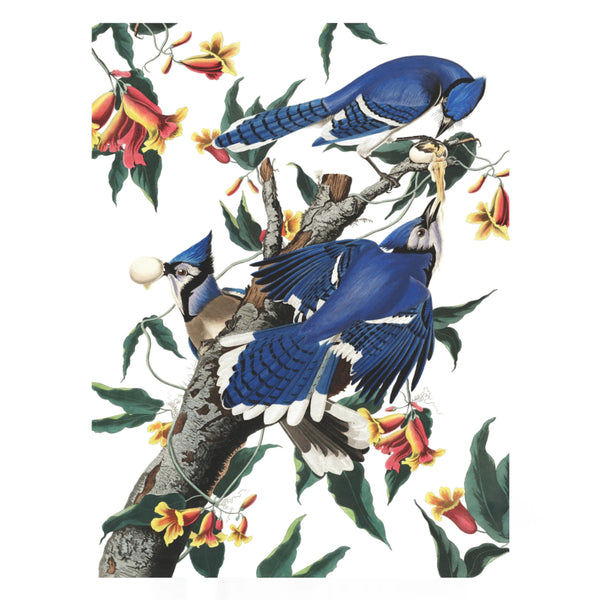 New York Puzzle 500pc - Blue Jays