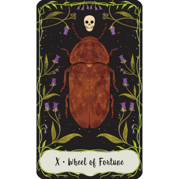 Practical Magic: The Motion Picture: The Official Tarot Deck and Guidebook By Minerva Siegel