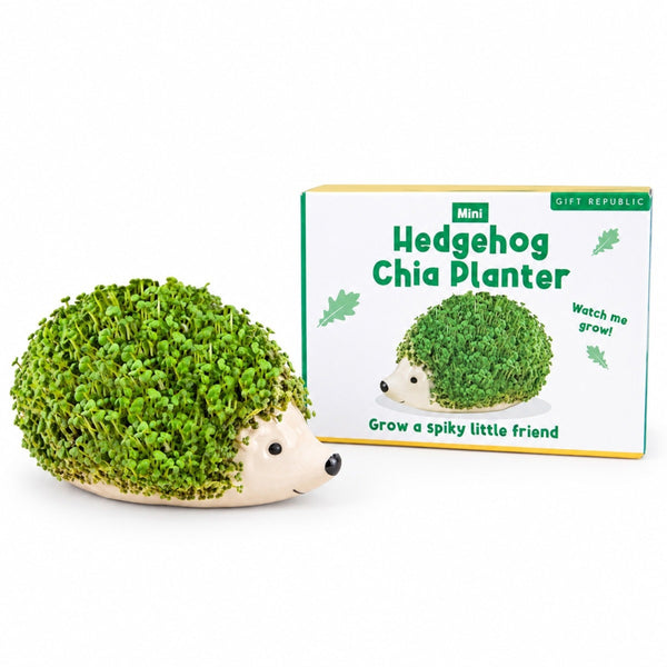 Gift Republic Mini Chia Planter Assortment