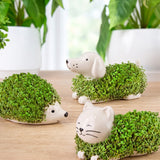Gift Republic Mini Chia Planter Assortment