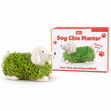 Gift Republic Mini Chia Planter Assortment