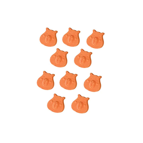 Gift Republic Bath Bombs 10pk - Capybara
