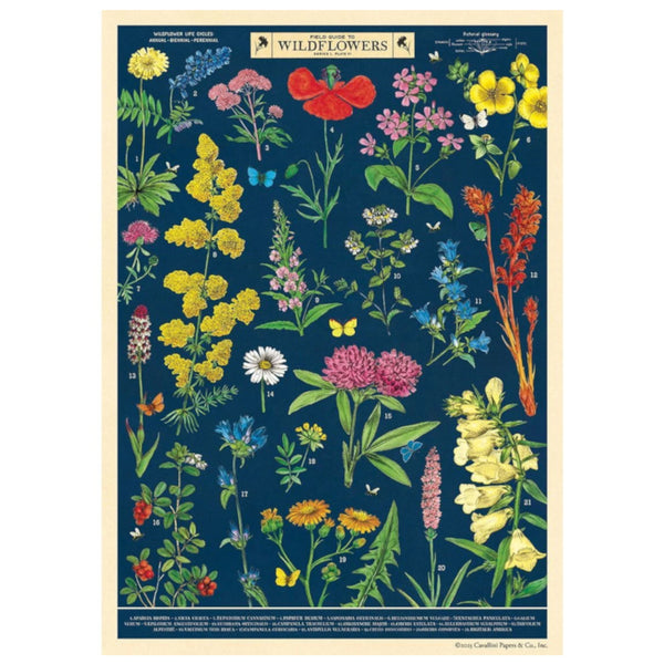 Cavallini Vintage Art Poster - Field Guide to Wildflowers