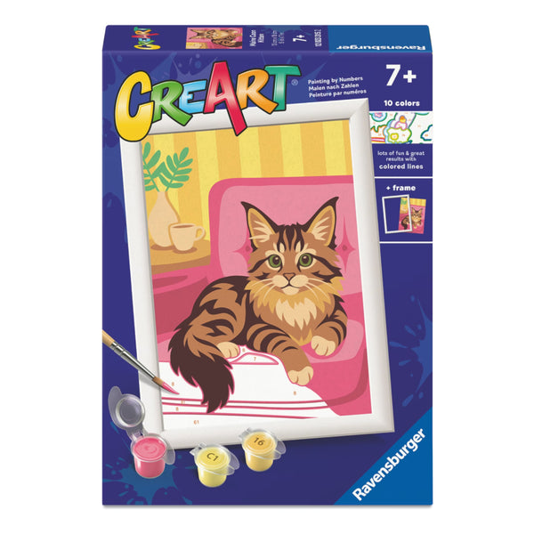 CreArt Paint By Number - Maine Coon Kitten