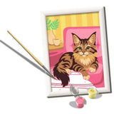 CreArt Paint By Number - Maine Coon Kitten