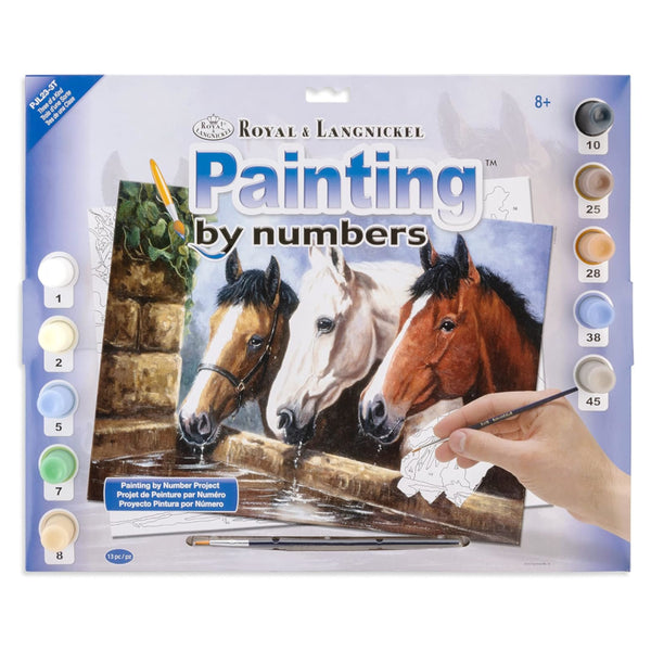 Royal & Langnickel Large Paint By Numbers Kit - Three of a Kind