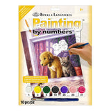 Royal & Langnickel Paint By Numbers Kit - Window Watching