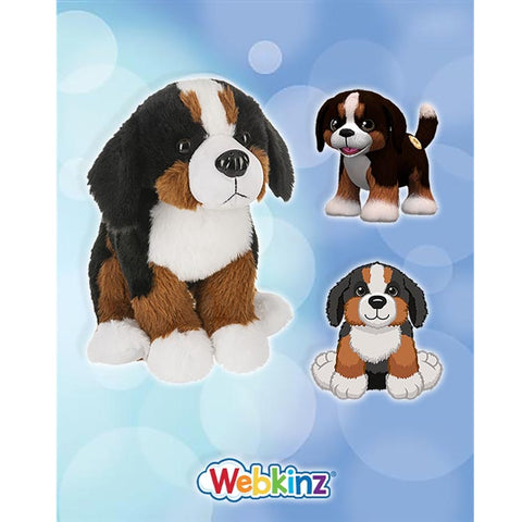 files/Bernese-Mountain-Dog.jpg