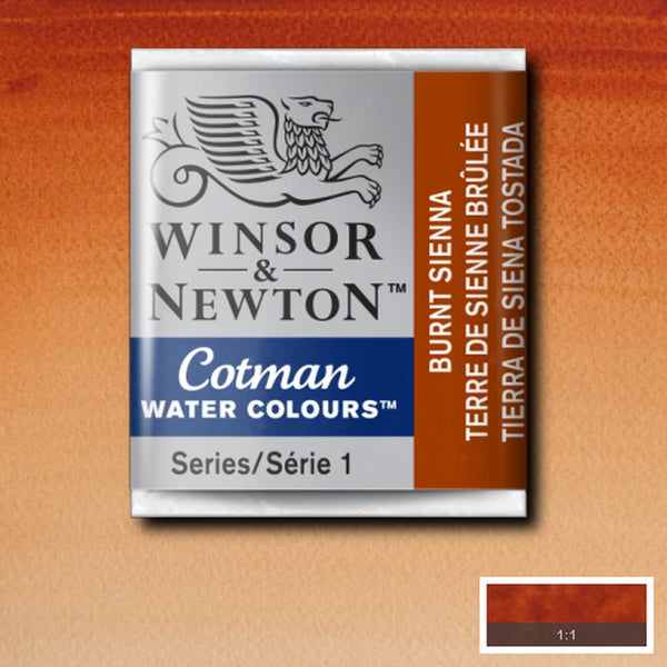 Winsor & Newton Cotman Watercolour Half Pans BURNT SIENNA