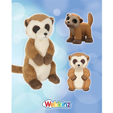 files/Meerkat.jpg
