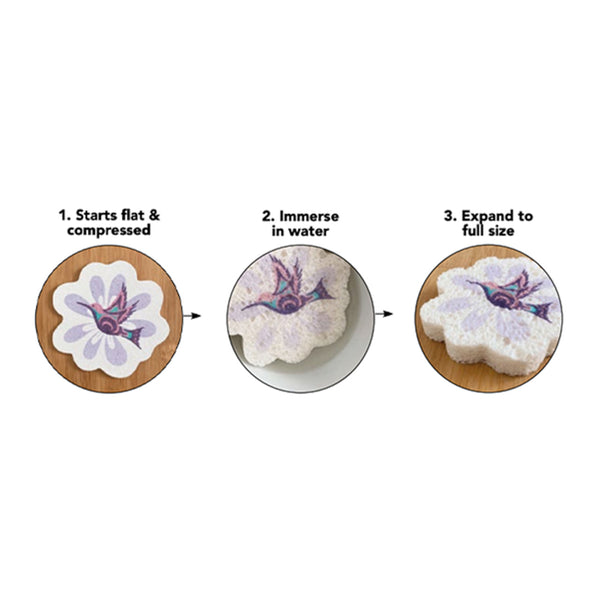 Native Northwest Eco Sponge - Octopus (Nuu)