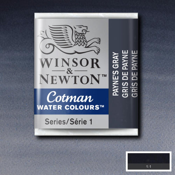 Winsor & Newton Cotman Watercolour Half Pans PAYNES GREY