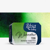Rosa Gallery Full Pan Watercolour Paints