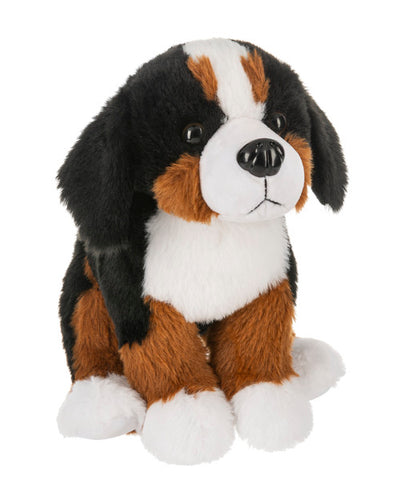 files/bernese.jpg