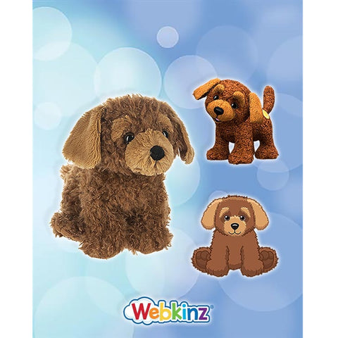 files/cockapoo-1.jpg