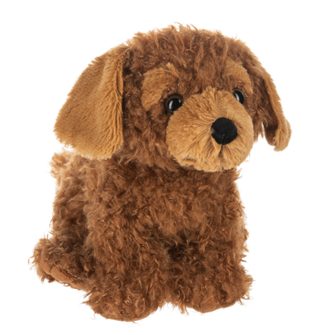 files/cockapoo3.png