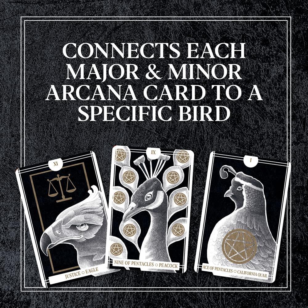 The Avian Tarot by Brittany Lyn Batchelder – Midoco Art & Office Supplies