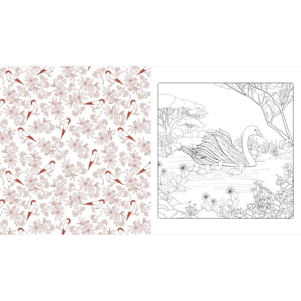 Chartwell Books Coloring Book - Beautiful Nature