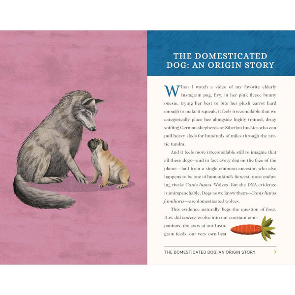 This Is A Book For People Who Love Dogs by Meg Freitag