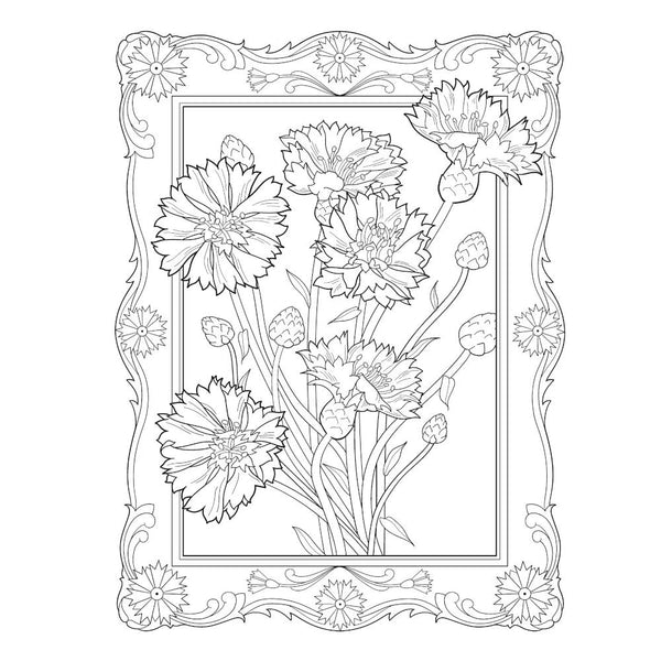 Creative Haven Colouring Book - Flowers of the World