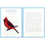 Rock Point Birds of North America Undated Planner