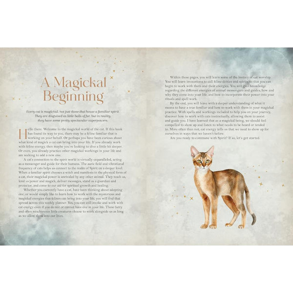 Rock Point Cat Magick Undated Planner