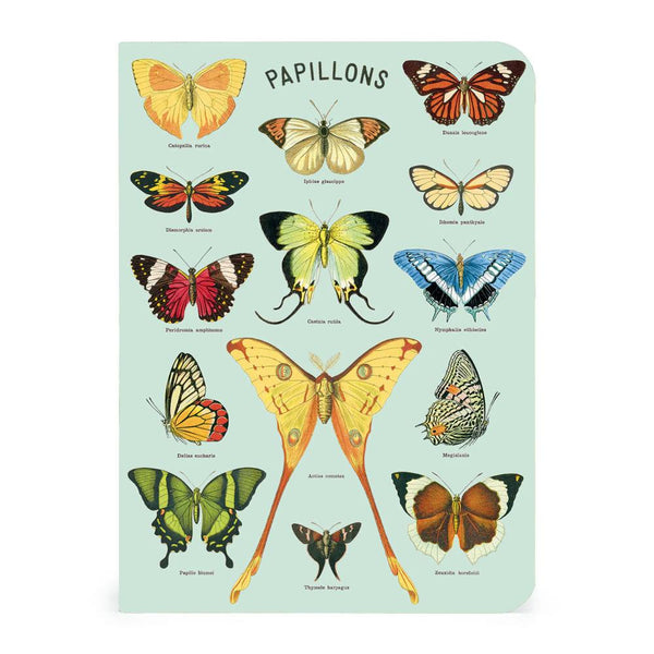 Cavallini Mini Notebook Set 3pk - Butterflies, Mixed Paper – Midoco Art ...