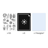 Djeco Cyanotype Kit - Night-Time in the Savannah