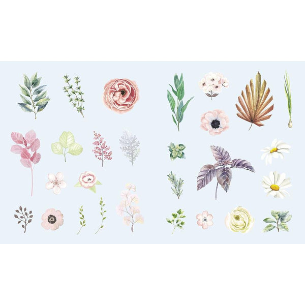 Sticker Studio: Flora by Chloe Standish