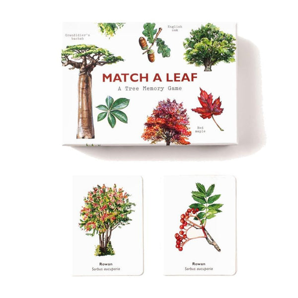 Laurence King Match A Leaf: A Tree Memory Game