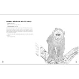 Queer Animals and Plants Coloring Book by Kes Otter Lieffe & Anja Van Geert