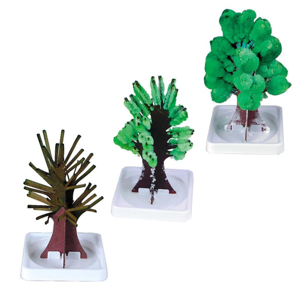 Toysmith Mystical Tree Growing Kit, Assorted Colours