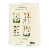 Cavallini Notecards 8pk - Foraging (Mushrooms)