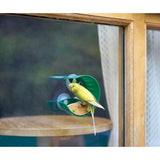 Hape Window Bird Feeder