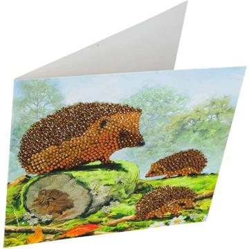 Craft Buddy DIY Crystal Art Card Kit - Happy Hedgehogs