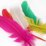 Angels Craft Multi-Coloured Feathers