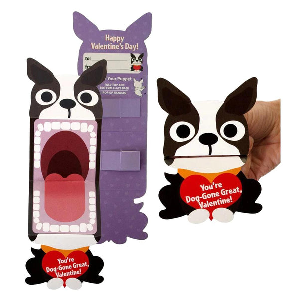 Paper House Valentine Cards Set 28pk Big Mouth Pets