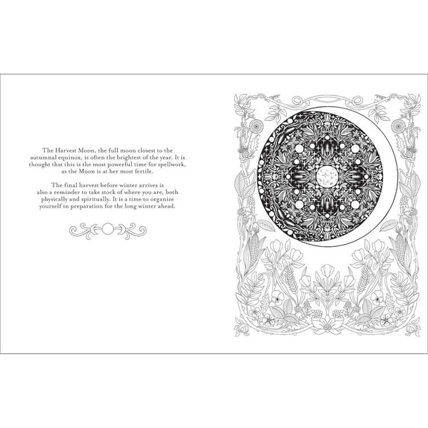 Believe in Magic: An Enchanting Coloring Book by Claire Scully
