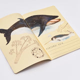 Bruno Visconti A5 Notebook - Whales