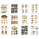 Cavallini Decorative Sticker Set - Mushrooms