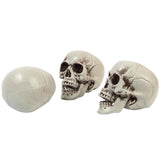 Ghostly Ghouls Tabletop Skull Decoration