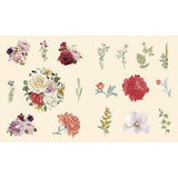 Sticker Studio: Flora by Chloe Standish