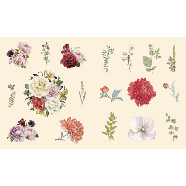 Sticker Studio: Flora by Chloe Standish