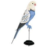 Fridolin 3D Animals Paper Model - Budgie