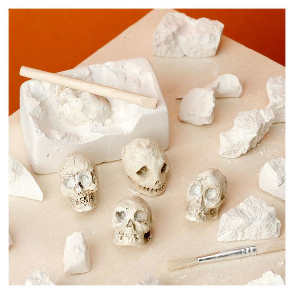 Puckator Skulls Dig It Out Kit, Assorted