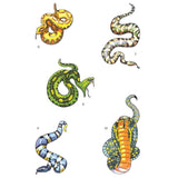 Dover Glow in the Dark Temporary Tattoos: Snakes by Jan Sovak