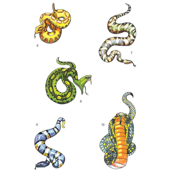 Dover Glow in the Dark Temporary Tattoos: Snakes by Jan Sovak