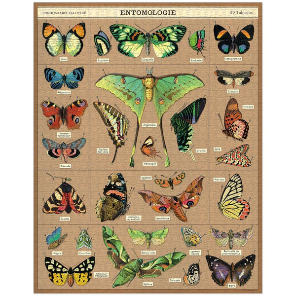 Cavallini 1000pc Vintage Puzzle - Entomology
