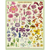 Cavallini 1000pc Vintage Puzzle - Flora Specimen