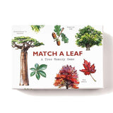 Laurence King Match A Leaf: A Tree Memory Game